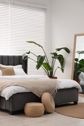 Stylish bedroom interior with large bed, mirror and houseplant