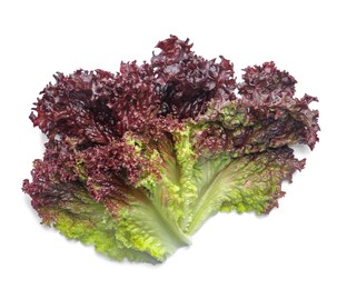 Photo of Leaves of fresh red coral lettuce isolated on white, top view
