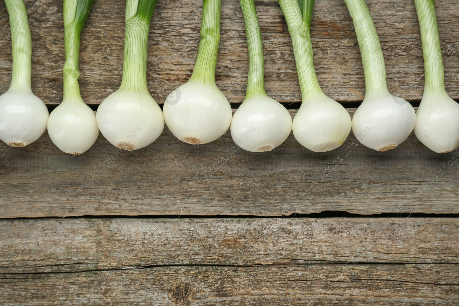 Photo of Whole green spring onions on wooden table, flat lay. Space for text