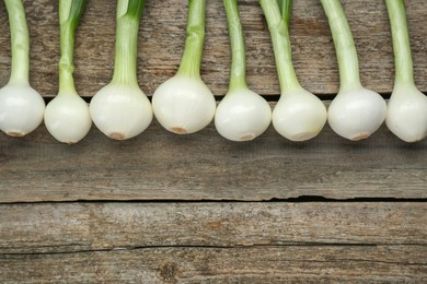 Photo of Whole green spring onions on wooden table, flat lay. Space for text