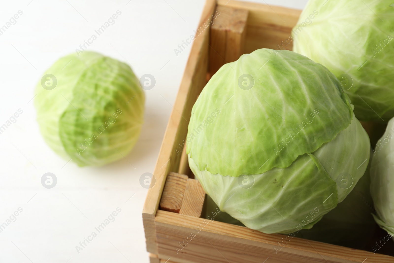 Photo of White cabbage in crate on table, closeup