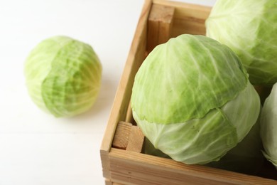 Photo of White cabbage in crate on table, closeup