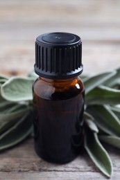 Bottle of essential sage oil and leaves on wooden table, closeup