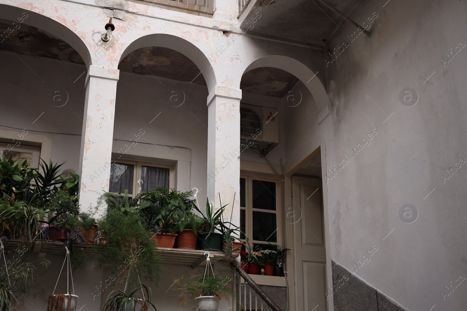 Photo of Beautiful building with potted green plants windows