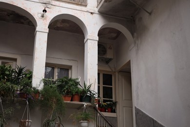 Beautiful building with potted green plants windows