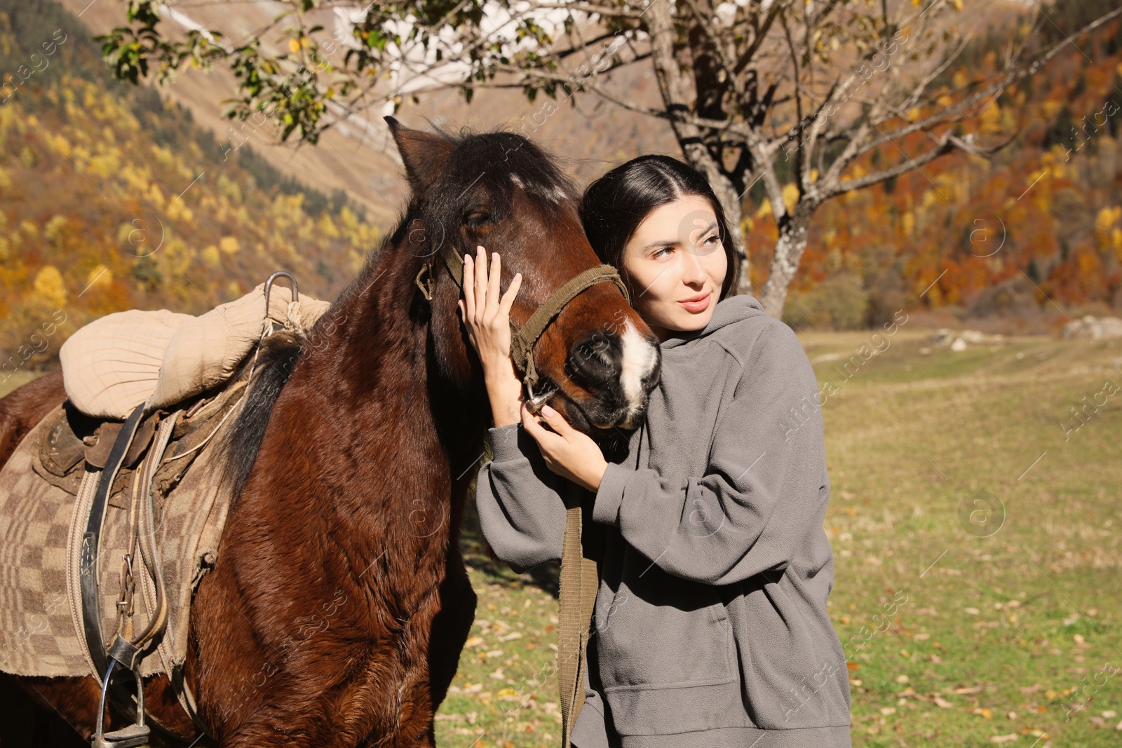 Photo of Young woman hugging horse in mountains on sunny day. Beautiful pet