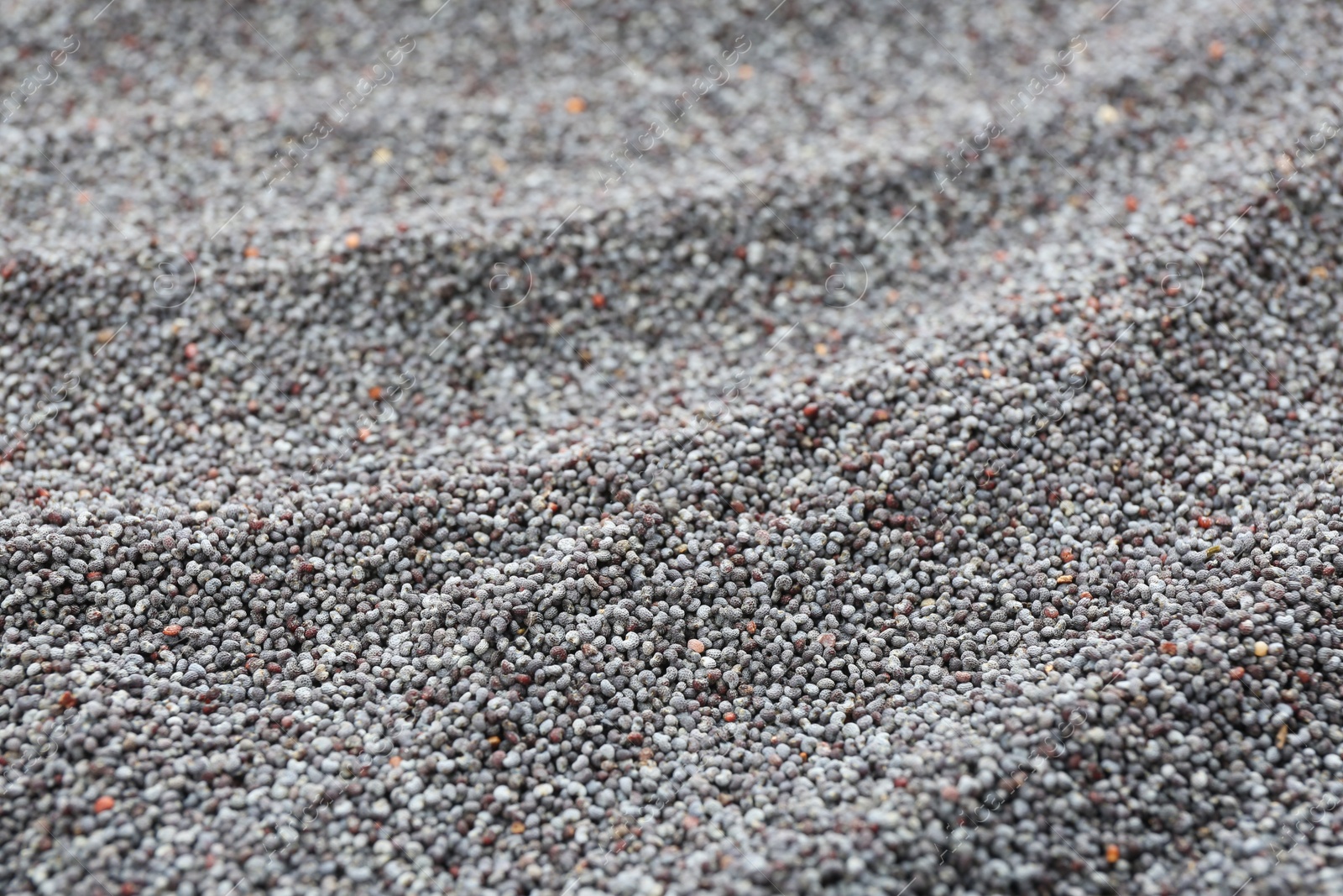 Photo of Dry poppy seeds as background, closeup view