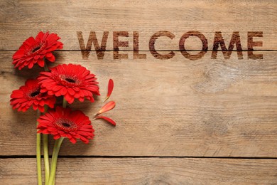 Image of Welcome card. Beautiful red gerbera flowers and word on wooden table, top view