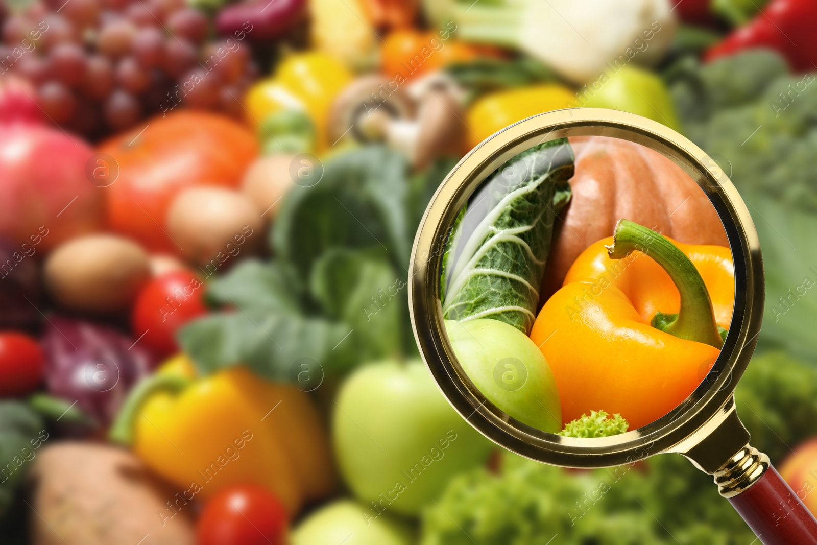 Image of View through magnifying glass on vegetables, closeup. Poison detection