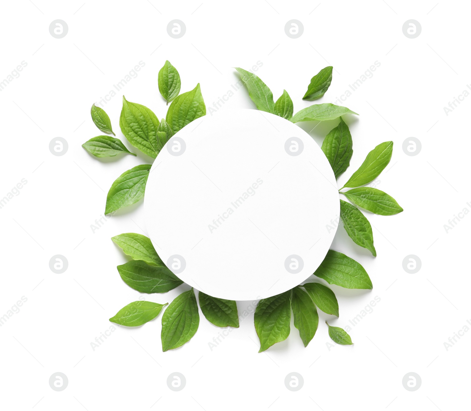 Photo of Blank card and spring green leaves on white background, top view. Space for text