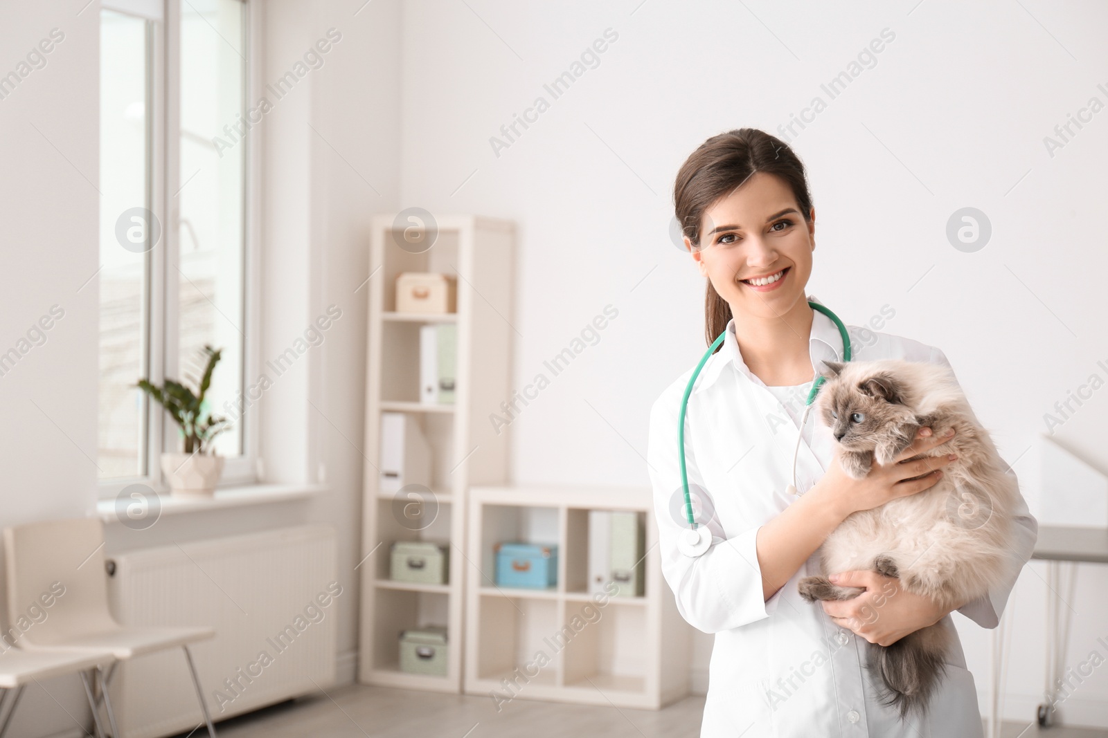 Photo of Young veterinarian holding cat in clinic