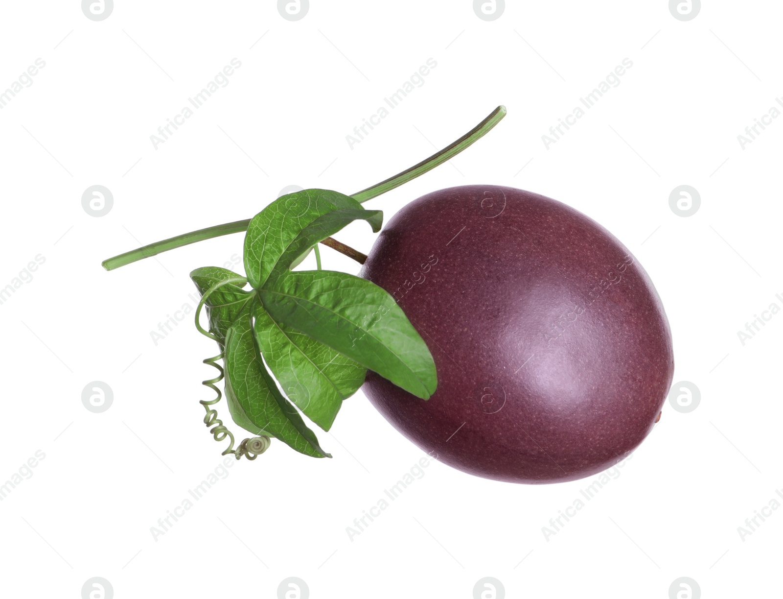 Photo of Passion fruit with leaves on white background. Passiflora plant