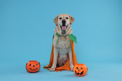 Photo of Cute Labrador Retriever dog in Halloween costume with trick or treat buckets on light blue background