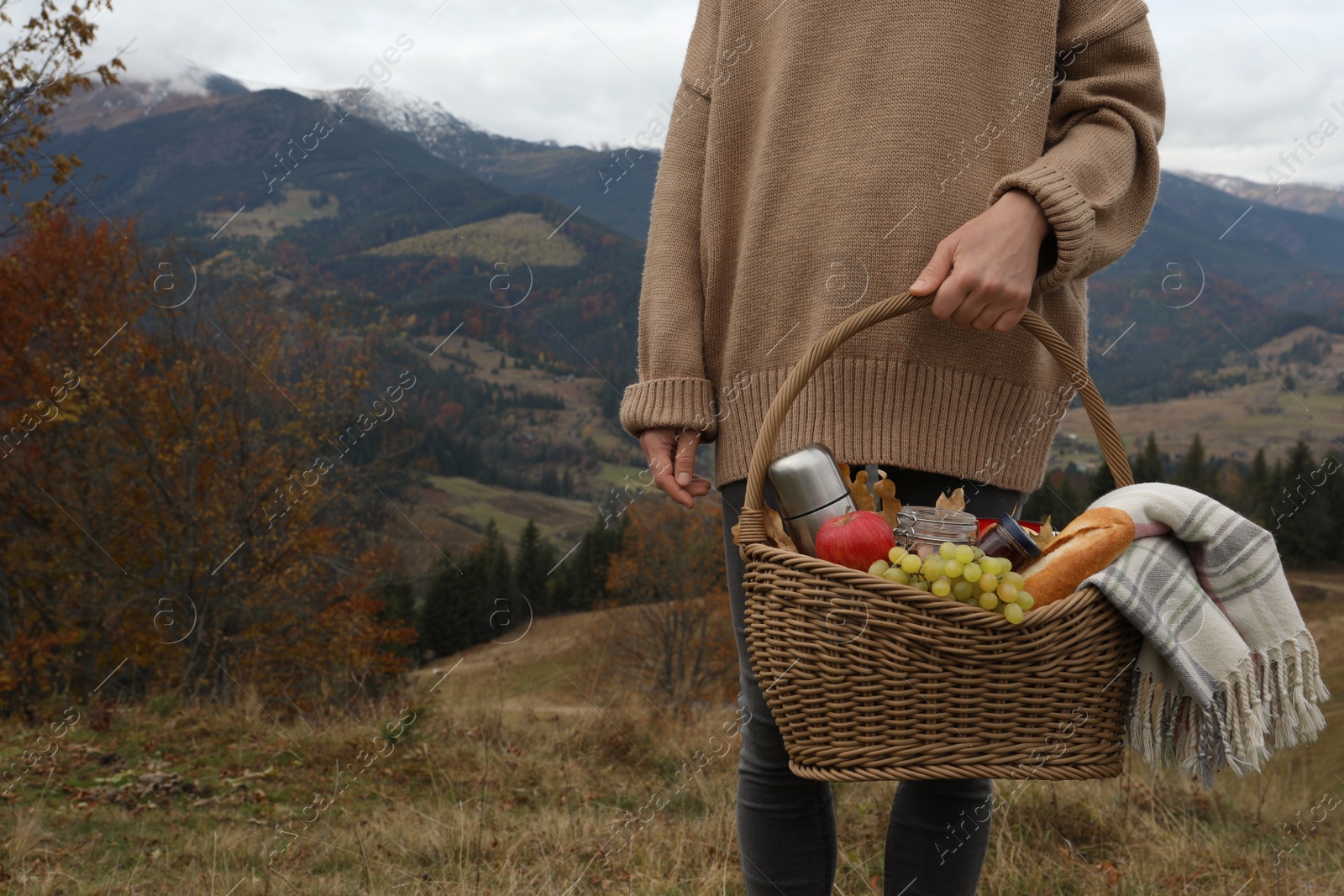 Photo of Woman holding wicker picnic basket with thermos, snacks and plaid in mountains on autumn day, closeup. Space for text