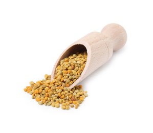 Scoop with fresh bee pollen granules isolated on white