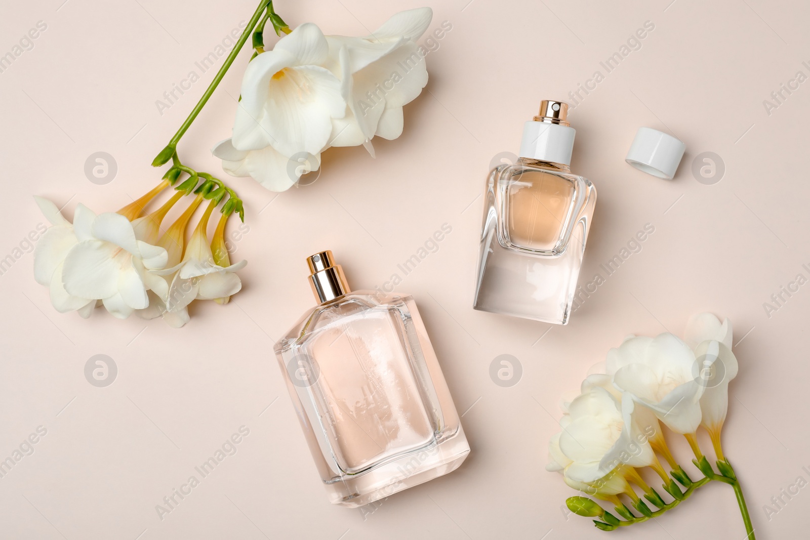 Photo of Bottles of perfume and flowers on light background, top view