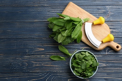 Photo of Fresh green sorrel leaves and mezzaluna knife on blue wooden table, flat lay. Space for text