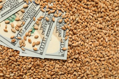 Photo of Dollar banknotes on wheat grains, top view. Agricultural business