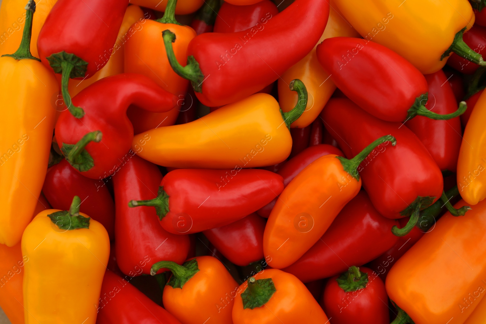 Photo of Yellow and red hot chili peppers as background, top view