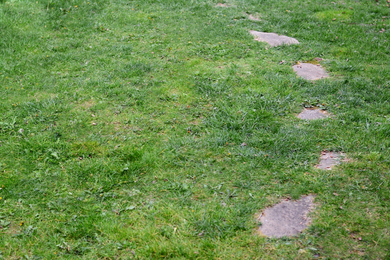 Photo of View of stone pathway and green lawn in park