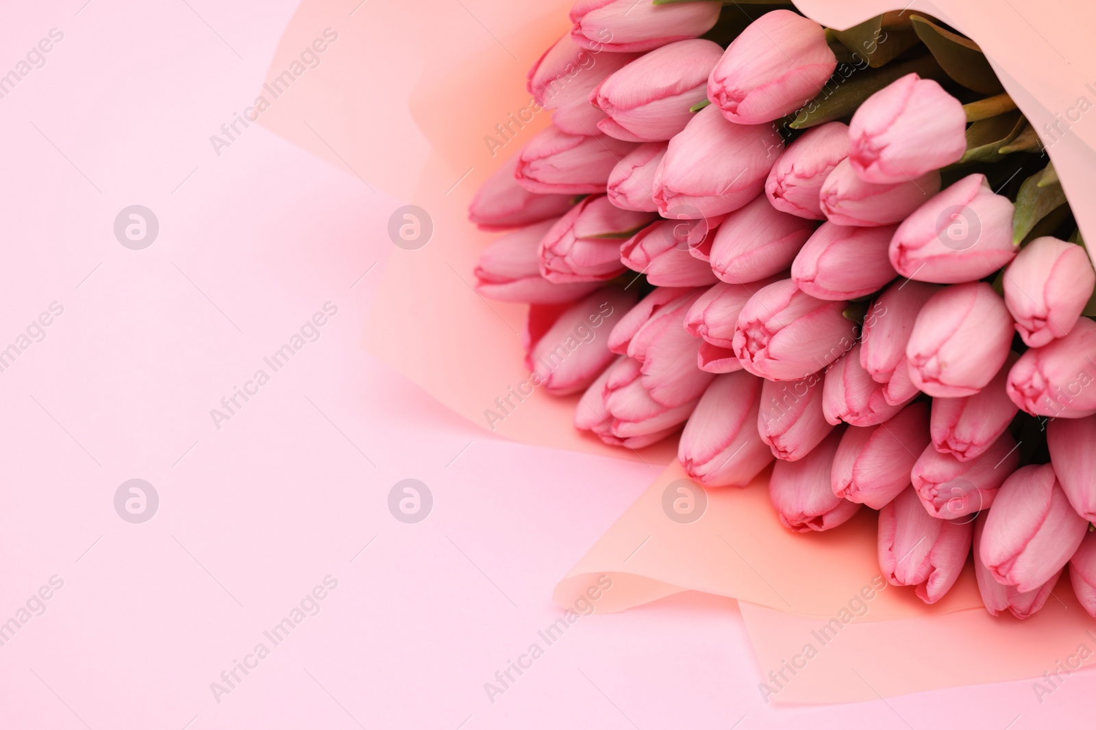 Photo of Bouquet of beautiful tulips on pink background, closeup. Space for text