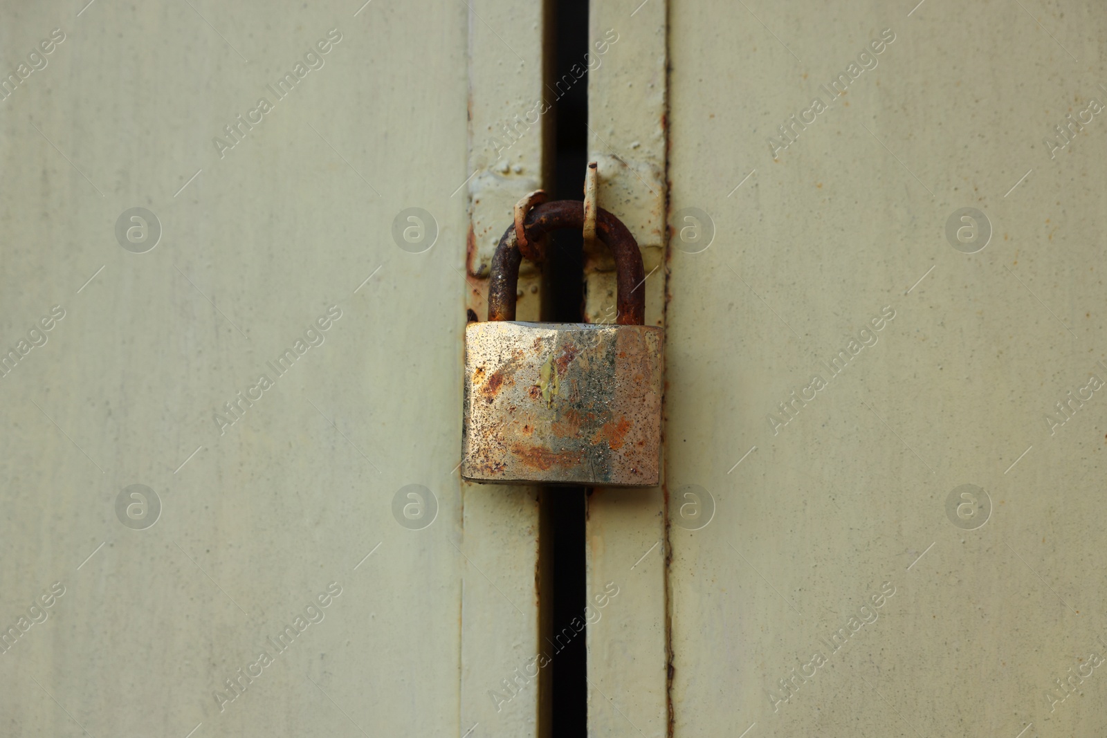 Photo of Closed rusty metal padlock on beige gates, closeup