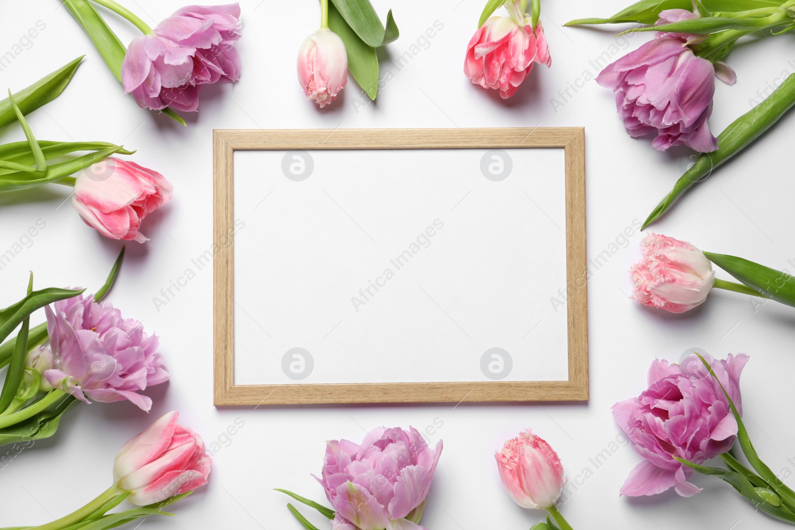 Photo of Empty photo frame and beautiful tulip flowers on white background, flat lay. Space for design