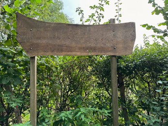 Blank wooden signboard and different plants outdoors