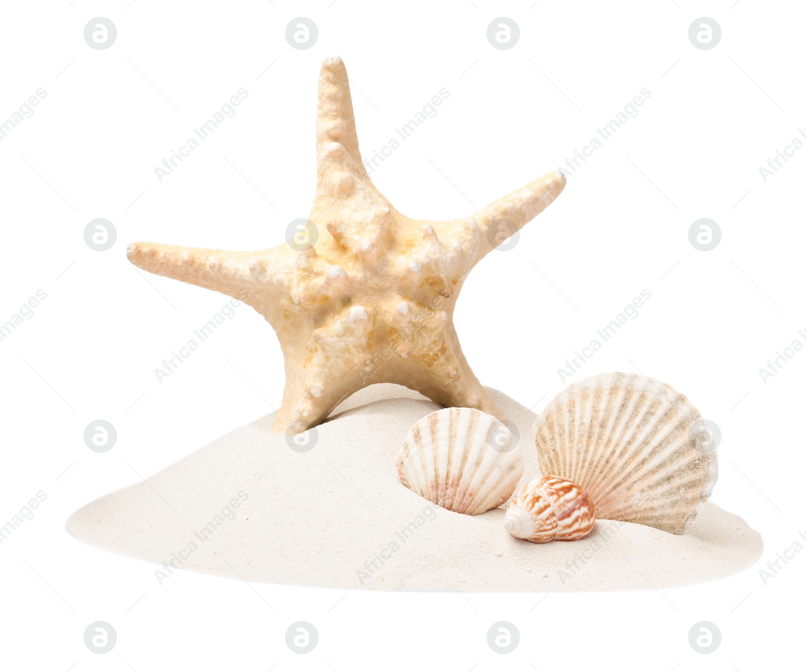 Photo of Beautiful sea star and seashells in sand on white background