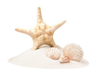 Photo of Beautiful sea star and seashells in sand on white background