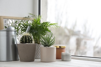 Photo of Beautiful Aloe, Cactus, Chamaedorea in pots with watering can and decor on white wooden windowsill. Different house plants