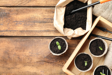 Photo of Flat lay composition with young seedlings on wooden table. Space for text