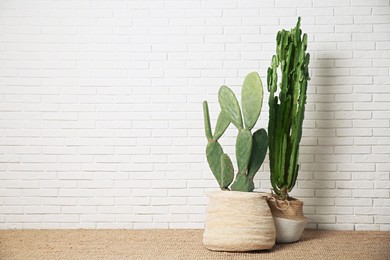 Photo of Beautiful potted cacti near white brick wall, space for text. Interior design