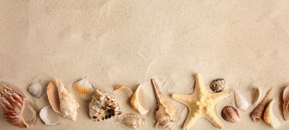 Flat lay composition with beautiful starfish and sea shells on sand, space for text