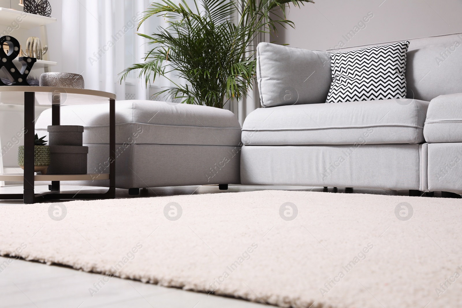 Photo of Living room interior with soft carpet and stylish furniture