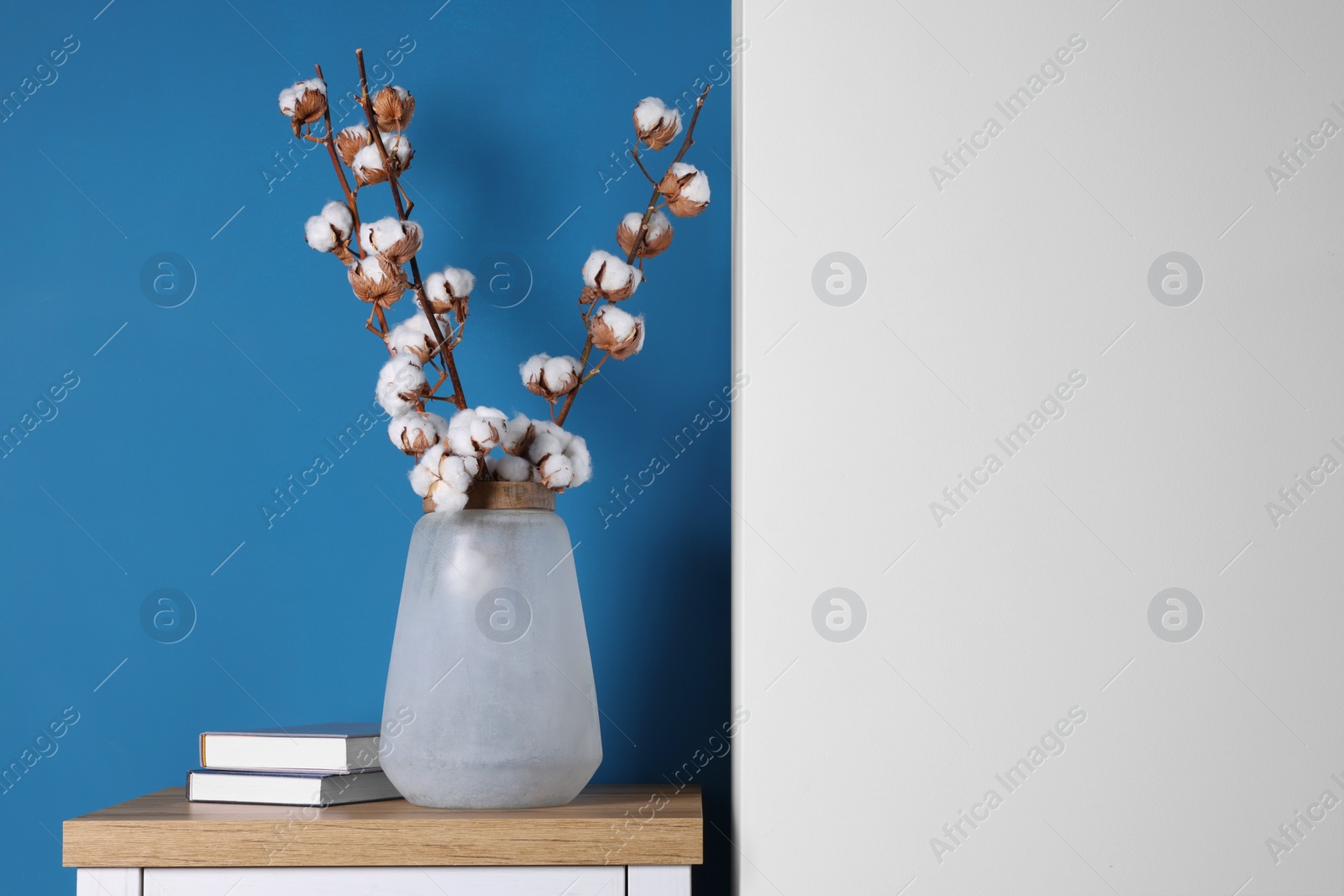 Photo of Cotton branches with fluffy flowers in vase and books on wooden table indoors. Space for text