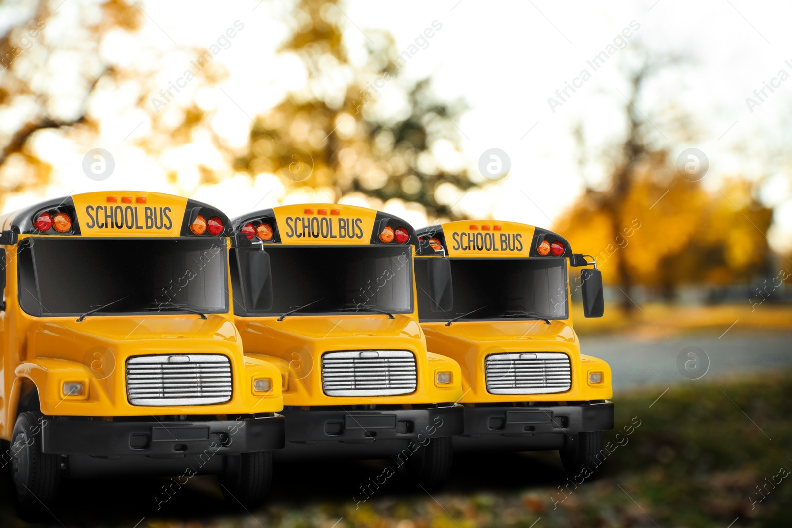 Image of Yellow school buses outdoors. Transport for students