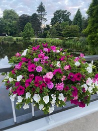 Photo of View of beautiful flowers on bridge over water