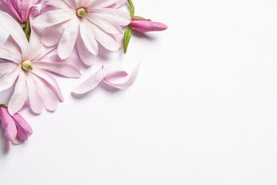 Beautiful pink magnolia flowers on white background, top view