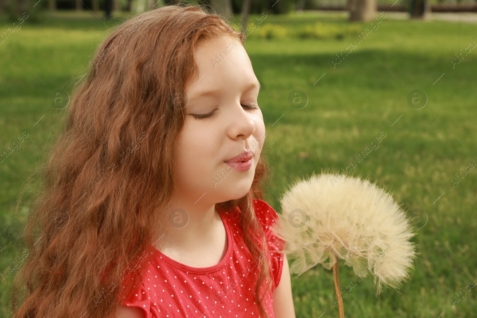 Photo of Cute girl with beautiful red hair blowing large dandelion in park. Allergy free concept