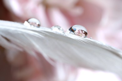 Photo of Macro photo of water drops on white feather against blurred pink background
