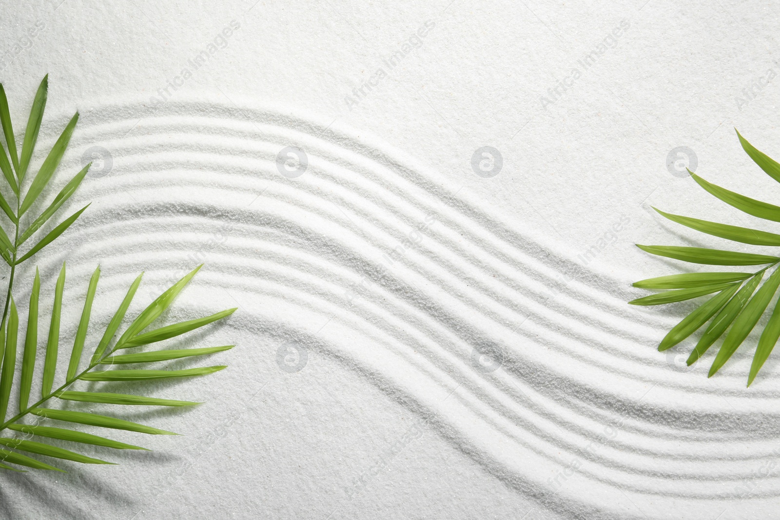 Photo of Zen rock garden. Wave pattern and green leaves on white sand, top view