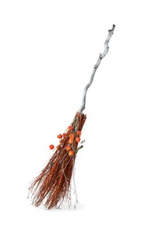 Photo of One beautiful witch's broom isolated on white