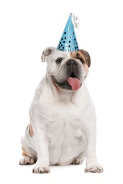 Adorable funny English bulldog with party hat on white background