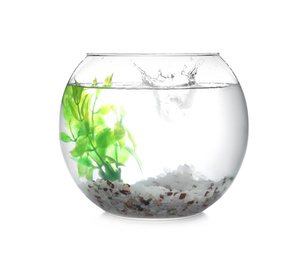 Photo of Splash of water in round fish bowl with decorative plant and pebbles on white background