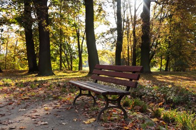 Picturesque view of park with beautiful trees and bench. Autumn season