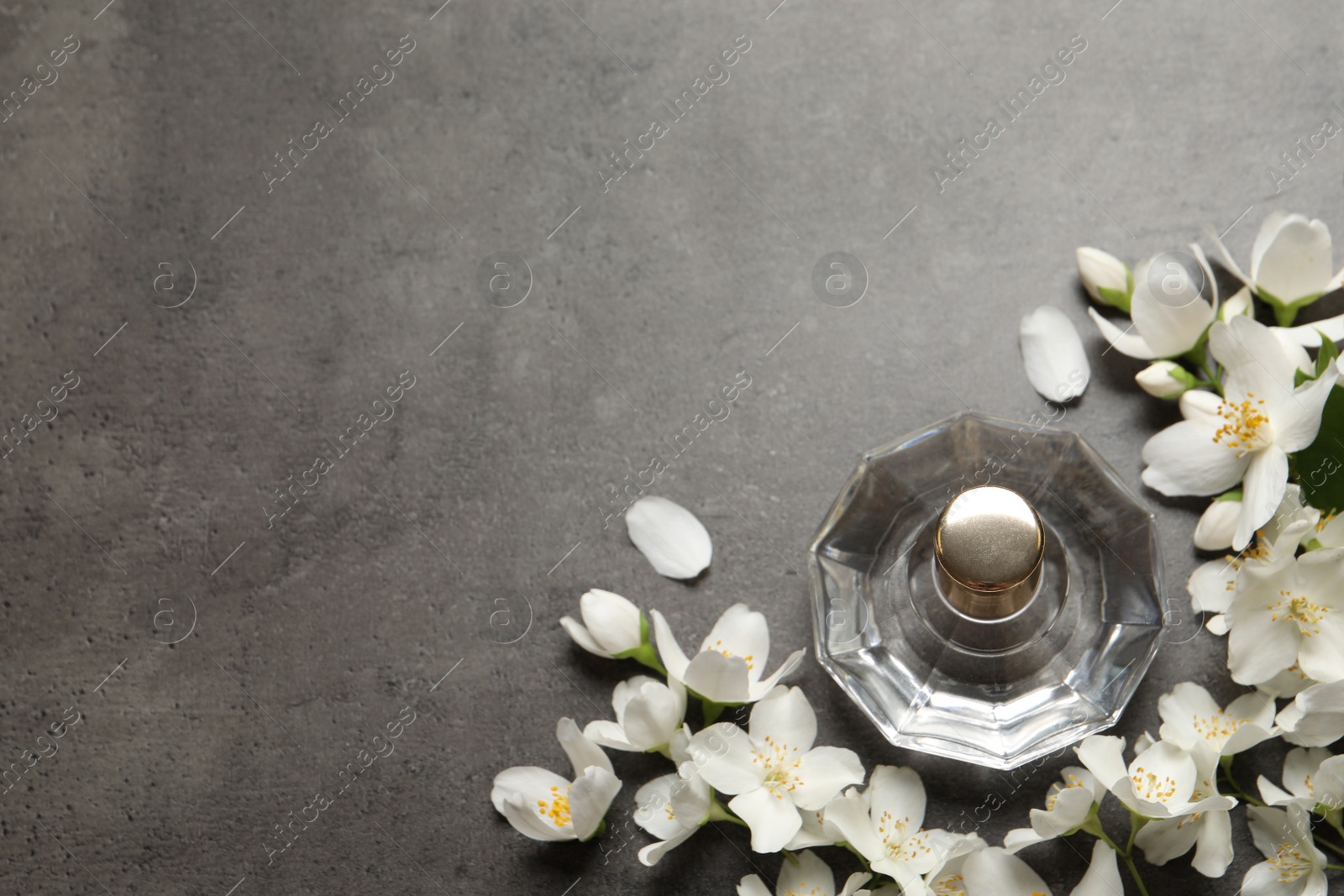 Photo of Bottle of luxury perfume and fresh jasmine flowers on grey table, flat lay. Space for text