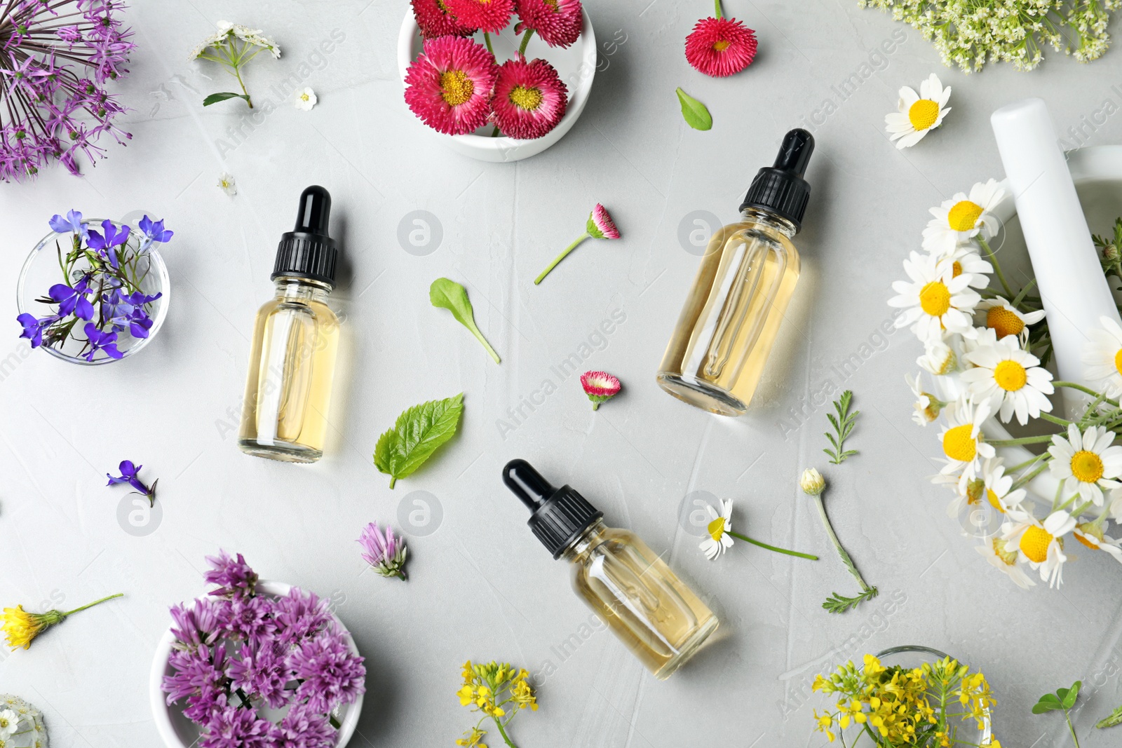 Photo of Flat lay composition with bottles of essential oils on grey background