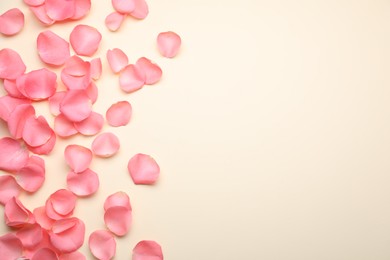 Photo of Beautiful pink rose flower petals on beige background, flat lay. Space for text
