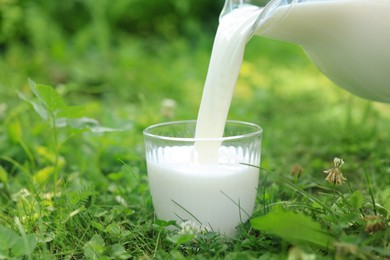 Photo of Pouring tasty fresh milk from jug into glass on green grass outdoors, closeup. Space for text